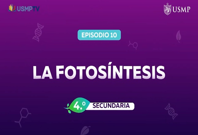 La Fotosíntesis
